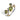Grace Single Green Mix ring By Birdie